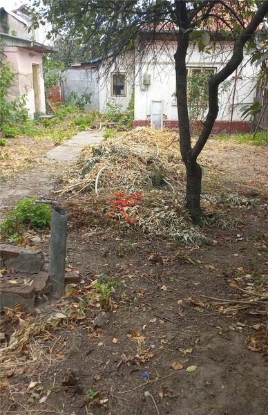 Bucuresti Noi - Parcul Bazilescu,